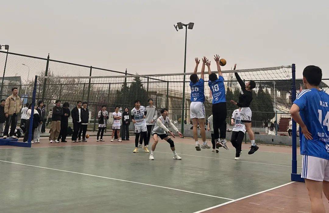 包含澳大利亚女排世界排名晋升，精彩对决夺得银牌的词条